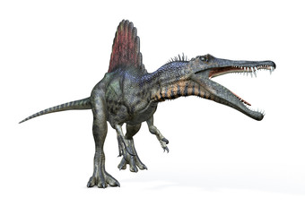Spinosaurus von links, 3D-Rendering