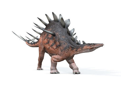Kentrosaurus von links, 3D-Rendering