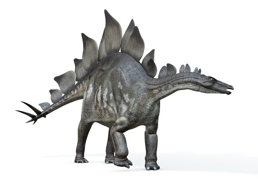 Stegosaurus von links, 3D-Rendering