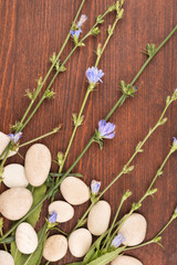 Fototapeta na wymiar Beautiful blue wildflowers and white stones on a wooden surface.