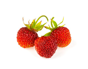 Wild strawberry on a white background