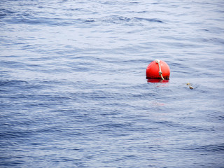 Buoy floating in sea