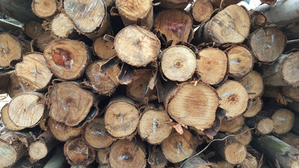 Stacked wood pine timber for construction buildings Background