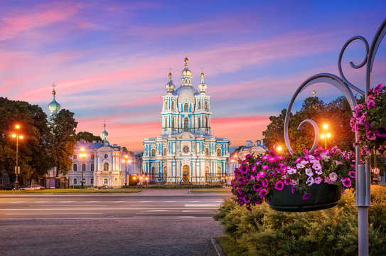 Смольный собор и петунии Smolny Cathedral and flowers of petunia