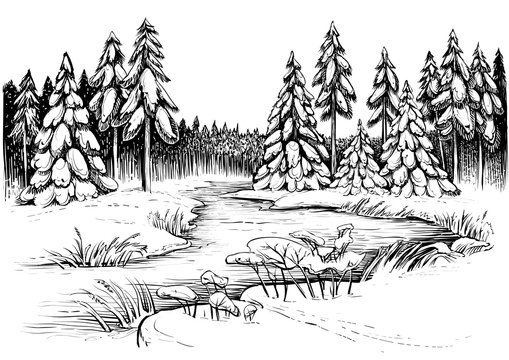 Winter river under ice and forest of snowy firs and pines. Vector drawing.