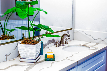 Plant & Soaps In Modern Bathroom