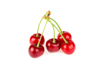 Cherry on white background