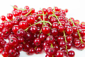 Organic Red Currant