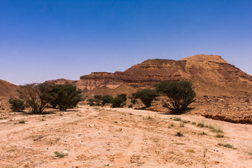 Somewhere in the desert, Riyadh Province.
