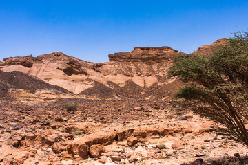 Desert and Mountains