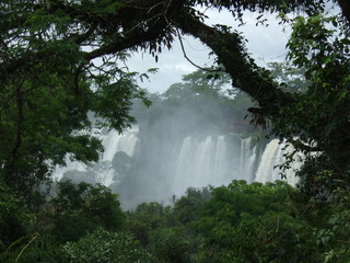 Iguazu-Wasserfälle im Regenwald, Argentinien