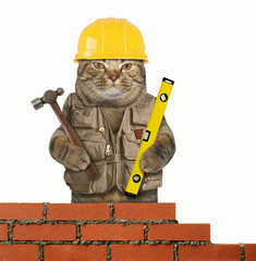 The cat builder is holding a hummer in one paw and a building level in other. White background.