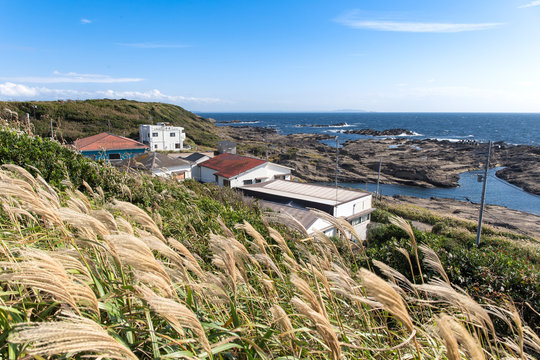 Grassy slope of the Jōgashima fishermen island village in Japan near Tokyo view to the ocean shore