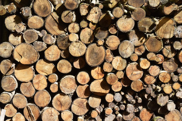 Bois de chauffage empil&eacute; en st&egrave;re.