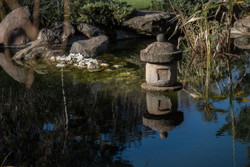 Reflection In Japanese Garden