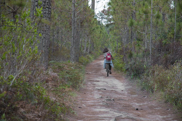 Obraz premium Woman riding a bicycle along path at the forest.