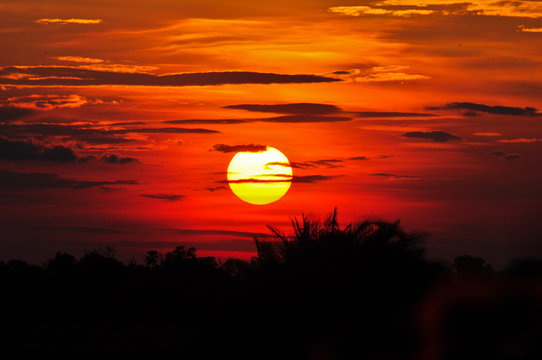 African Sunset III