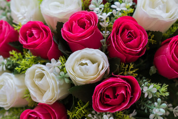 Abstract background of flowers Close-up
