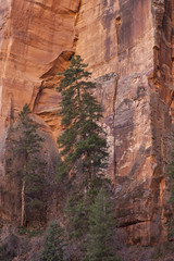 Zion National Park, Utah