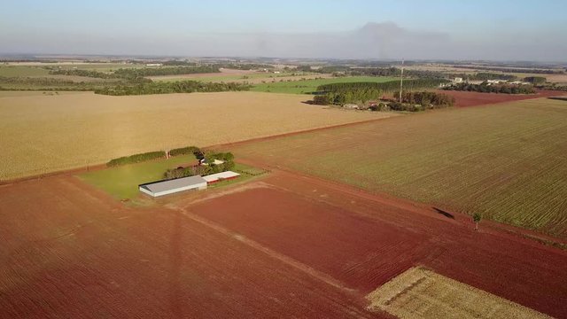 Farm in Paraguay