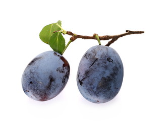 Fresh plums isolated on white background