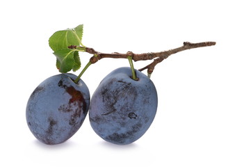 Fresh plums isolated on white background