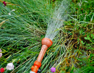 Potable water in the vegetable garden.