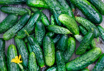 Scatter the cucumber on the Board