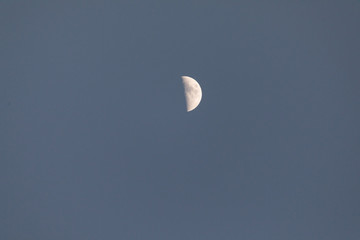 Half of moon in the evening time. Moonlight