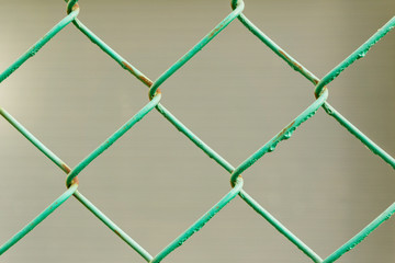 Fototapeta premium Close up of rusty green wire fence and blury background