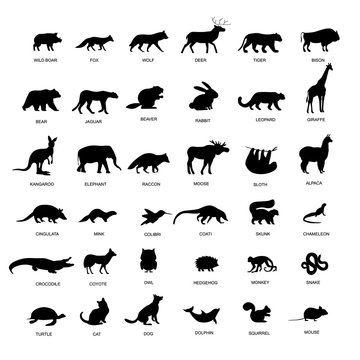 Download 877 Best Sloth Silhouette Images Stock Photos Vectors Adobe Stock