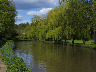 Fototapeta na wymiar The River Wey.Guildford ,Surrey,England.
