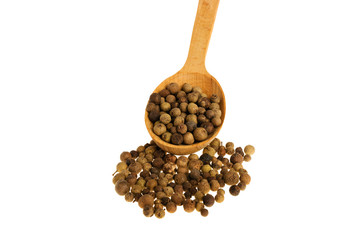 Allspise on a white background