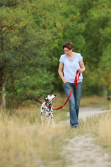 Mature woman is walking a dalmatian dog on a leash  in nature environment