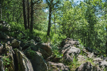 Tourism- walking path