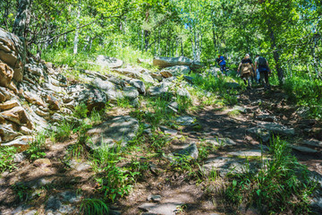 Tourism- walking path