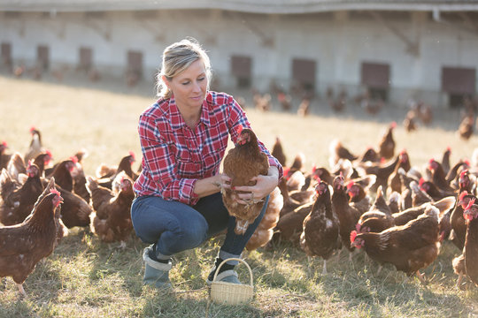 female farmer raising chicken outdoors.