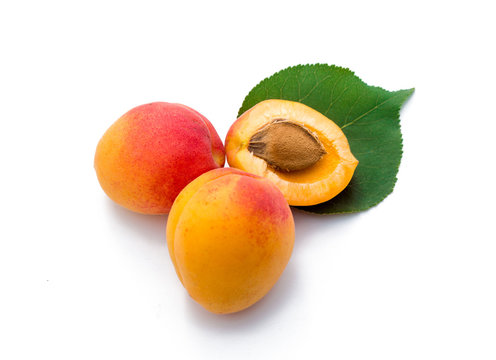 Ripe bunch of apricots with leaves, isolated on white.