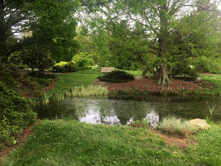 Beautiful landscape and pond in Maryland. Summertime park landscape with trees, grass, and lake. - 165939368