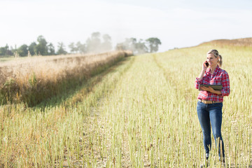 Naklejka na ściany i meble female farmer managing harvest in a cereal field