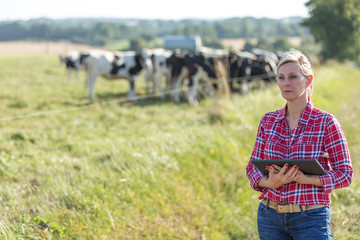 female farmer and her favorists cows