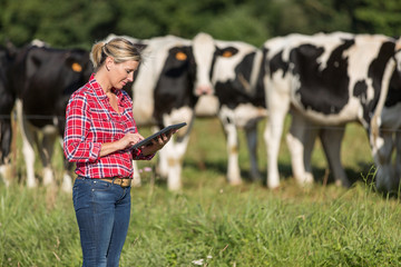 female farmer proud to work with her cows herd