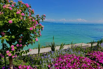 Insel Mainau © Susanne