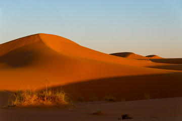 Fototapeta na wymiar erg chebbi