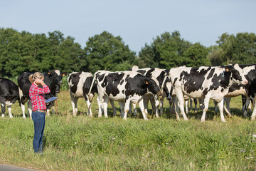 female farmer proud to work with her cows herd