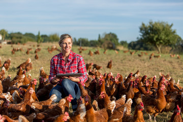 modern female farmer working with chicken - 165940999