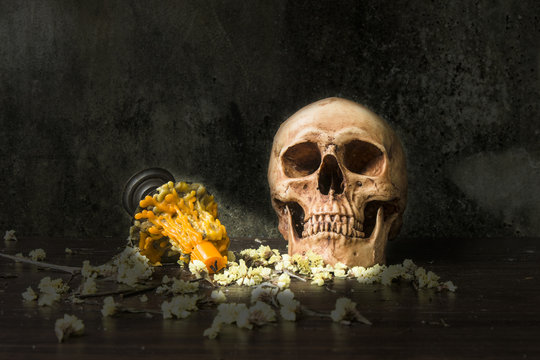 Skill Life Human Skull with candle Still Life Style