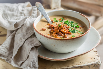 Enjoy your mushrooms soup made of fresh chanterelles