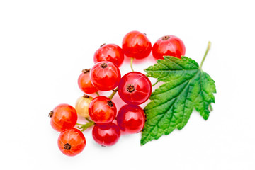 Red currant bunch, isolated on white.