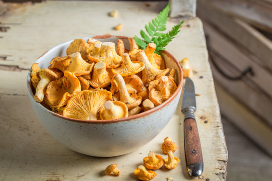 Healthy chanterelles in an old clay bowl